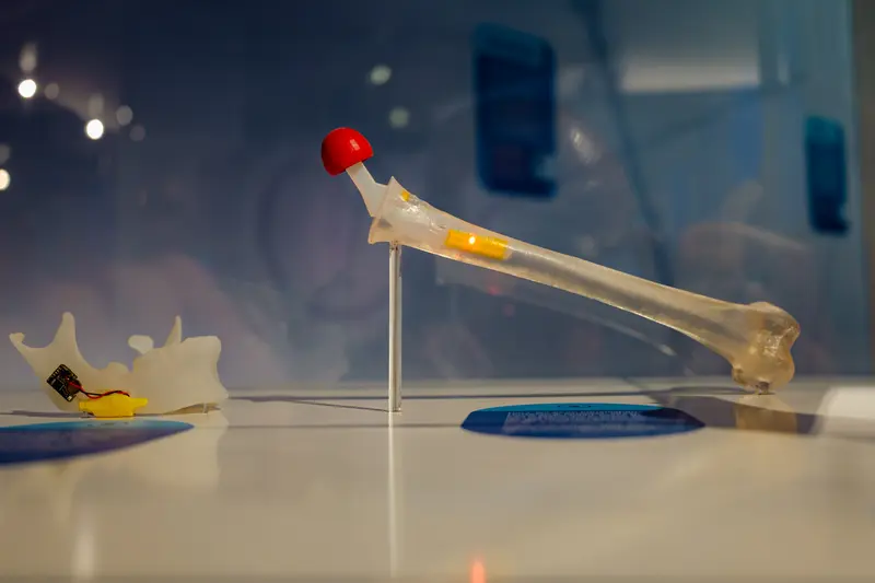 © Foto: Ilja C. Hendel / Wissenschaft im Dialog, CC BY-SA 4.0