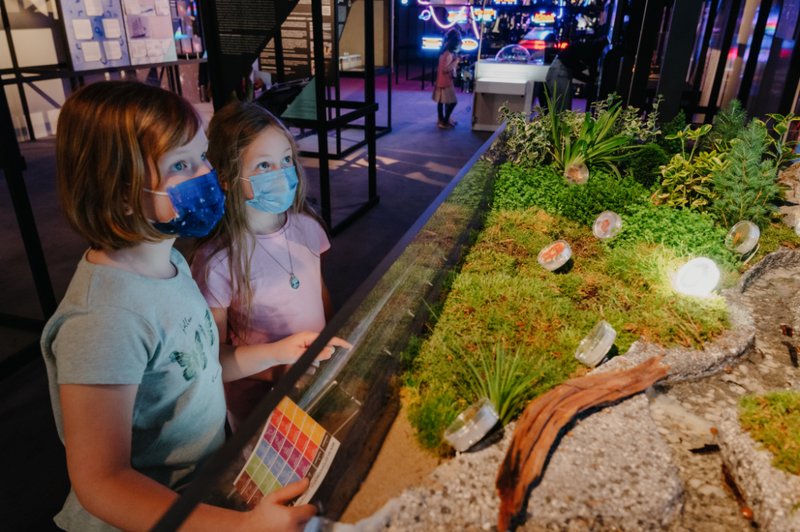 Zwei Mädchen betrachten das lebende Landschaftsmodell zum Thema Bodenbakterien.
